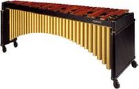 �I�[�P�X�g���̊y��@�}�����o